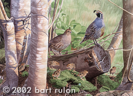 Bart Rulon Original Paintings